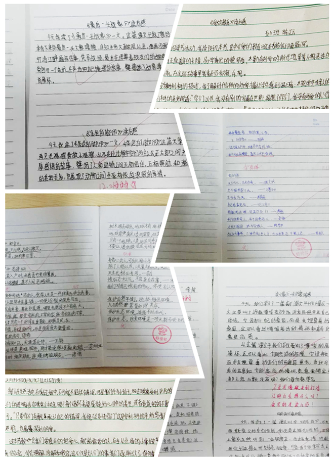 读后感00.jpg