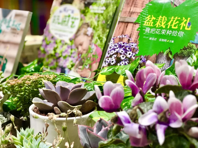 QQ图片20190404103629.png