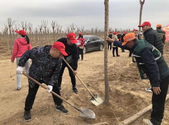 QQ截图20190403150129.jpg